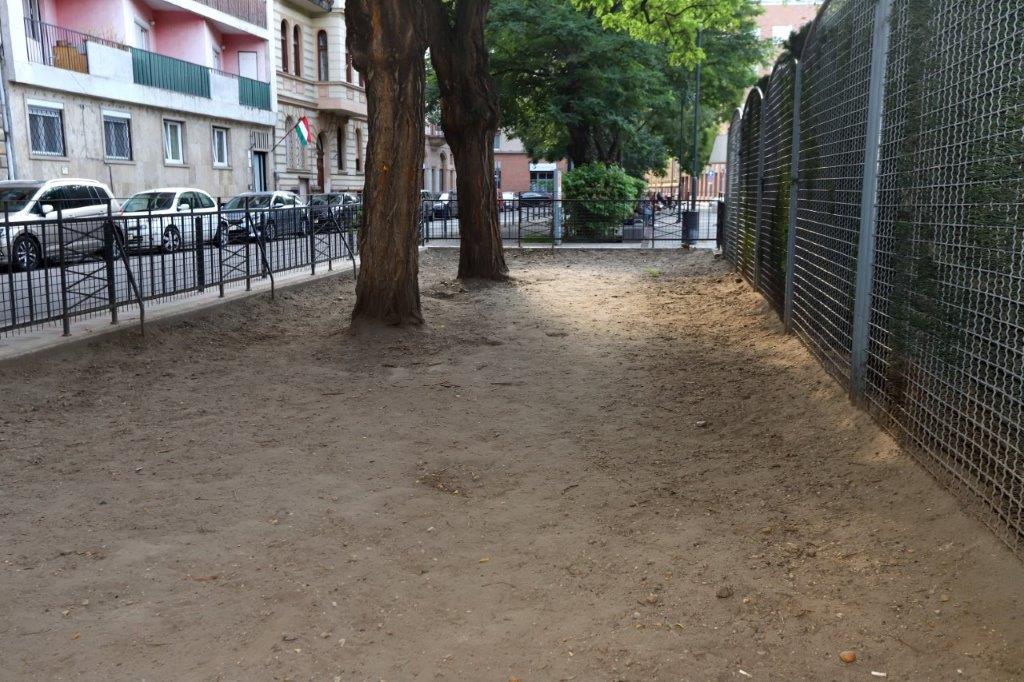 Kutyafuttatók fertőtlenítése