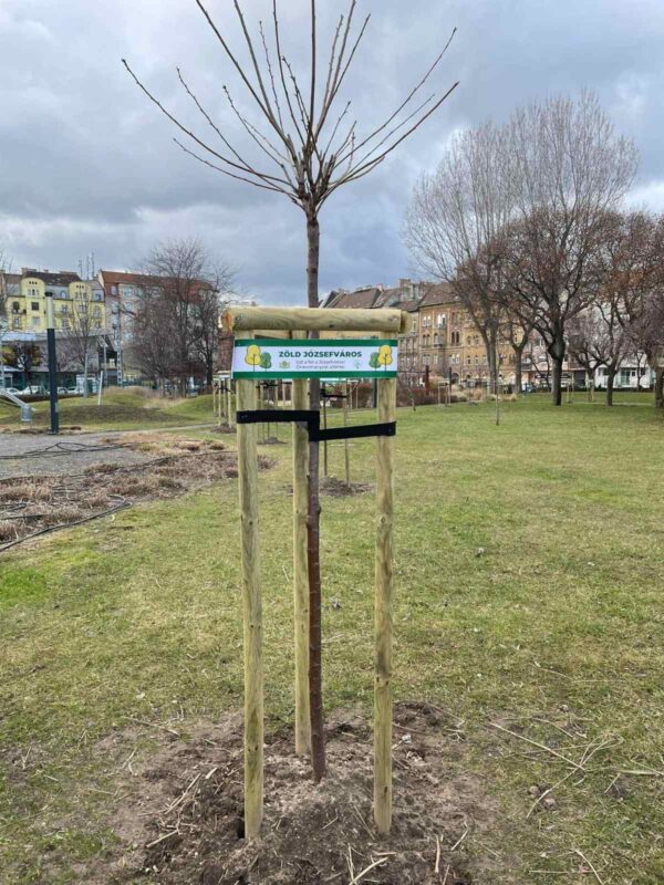 Új fák, a Zöld Józsefvárosért