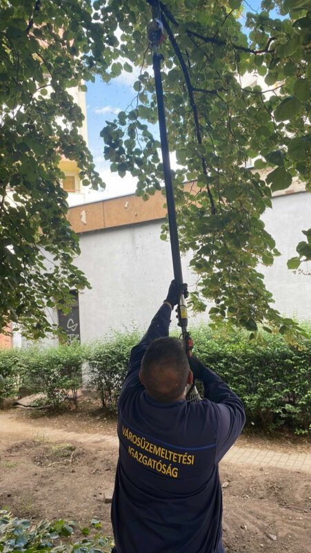 Gallyazás ezen a héten is!