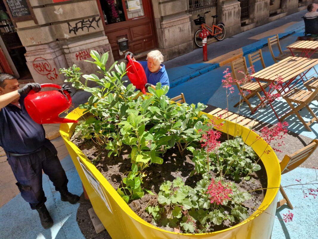 Fogadj Te is örökbe egy közterületet Józsefvárosban!