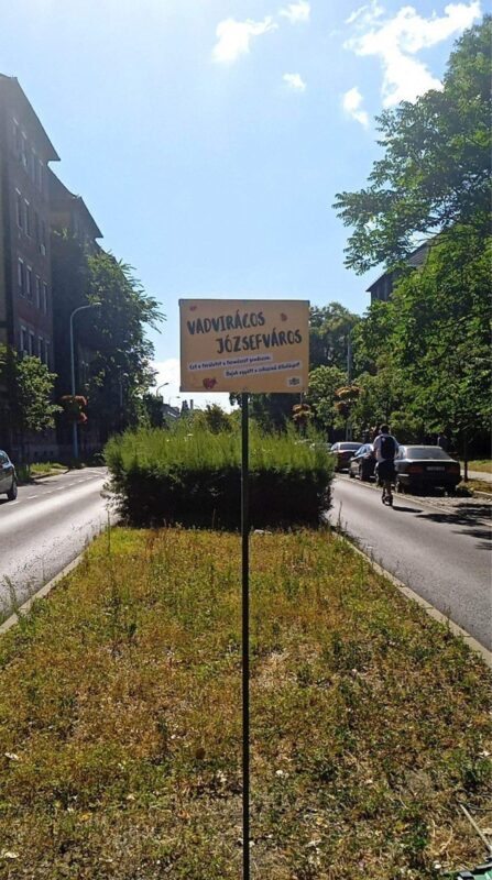 Új táblák a kerületben, „Vadvirágos Józsefváros”