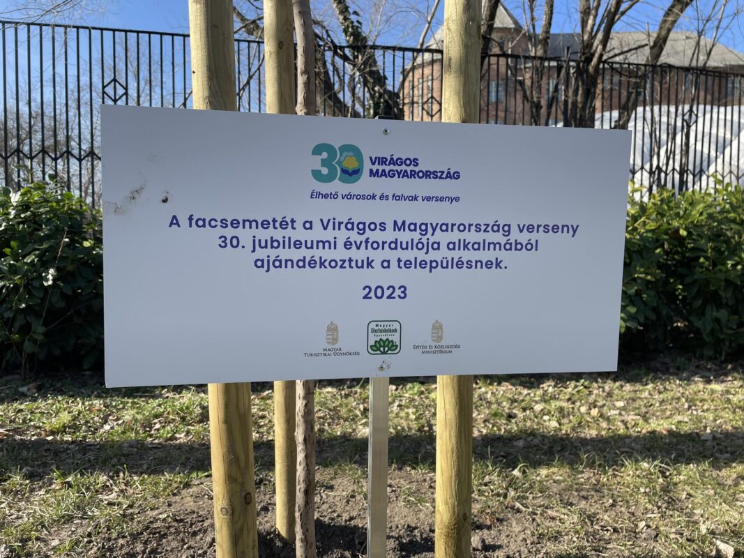 Emlékfa a Bláthy Parkban