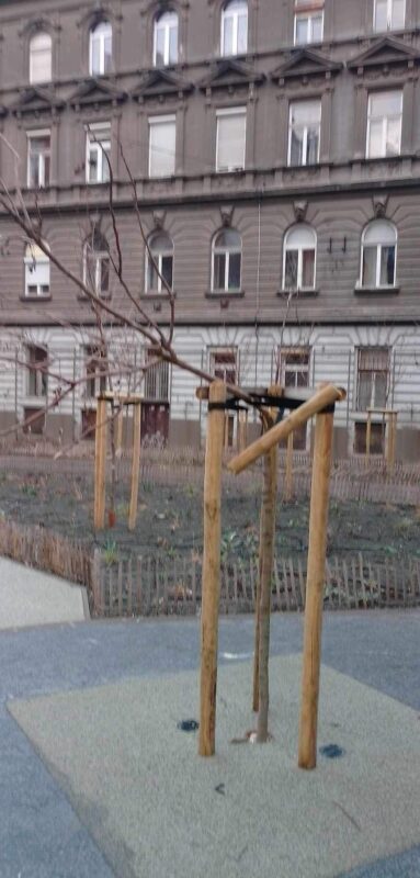 Kettétört facsemete a Népszínház utcában