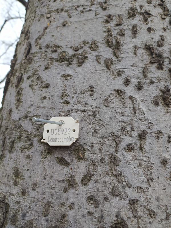 Fakataszter frissítés célja 2024