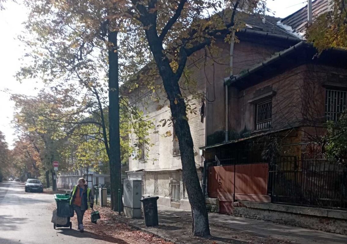 Tiszta közterekért és biztonságos környezetért dolgoztak munkatársaink