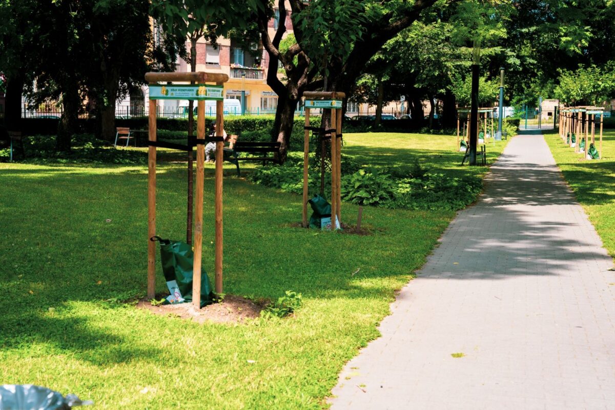 Indul a téliesítés Józsefvárosban – beszedik az öntözőzsákokat