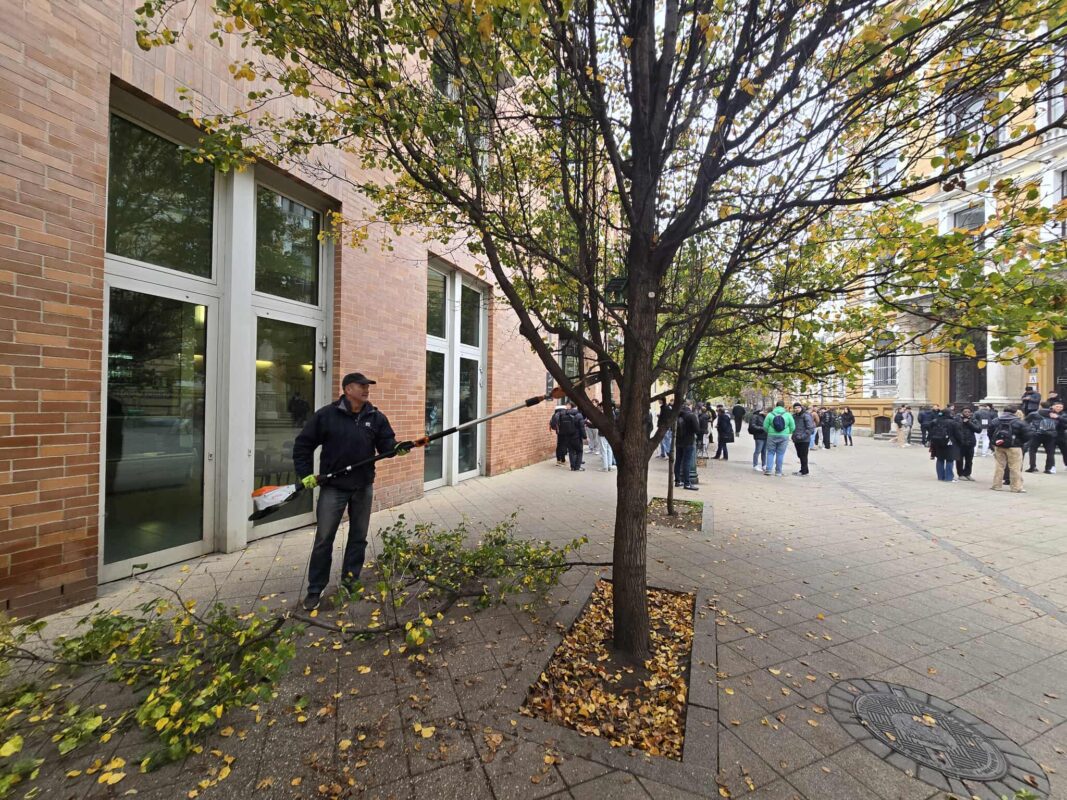 Ápolt és rendezett zöldfelületekért dolgoztunk Józsefvárosban