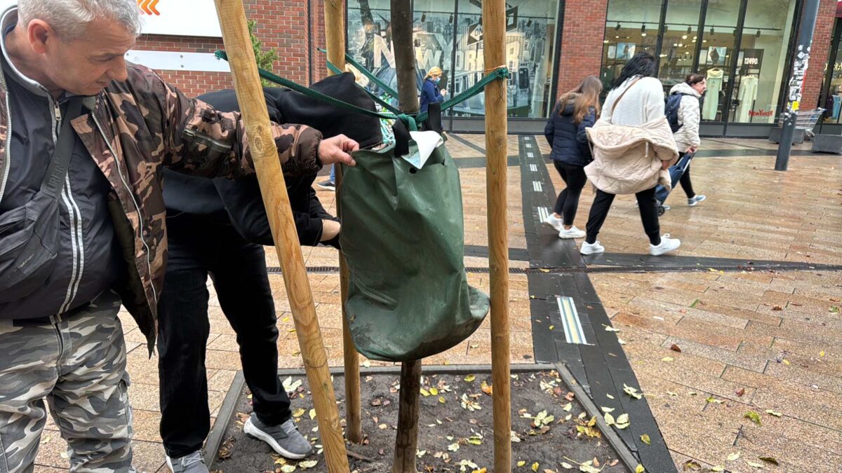 Munkatársaink jelentős kertészeti munkákat hajtottak végre a kerületben