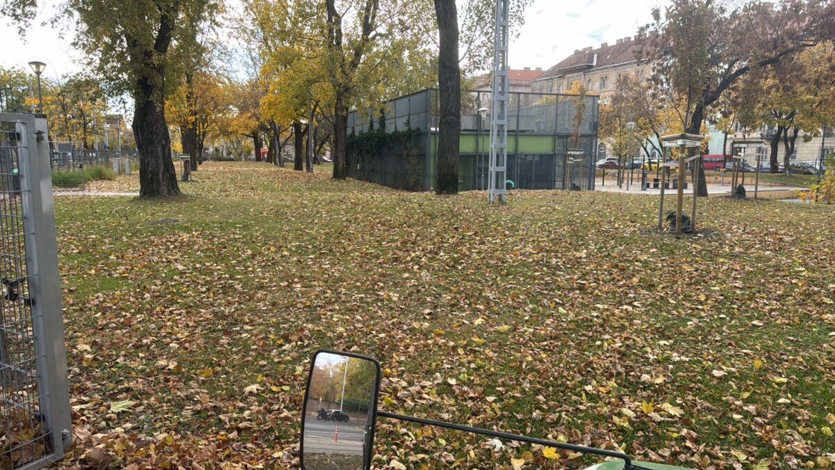 A rendezett józsefvárosi zöldterekért dolgoztunk