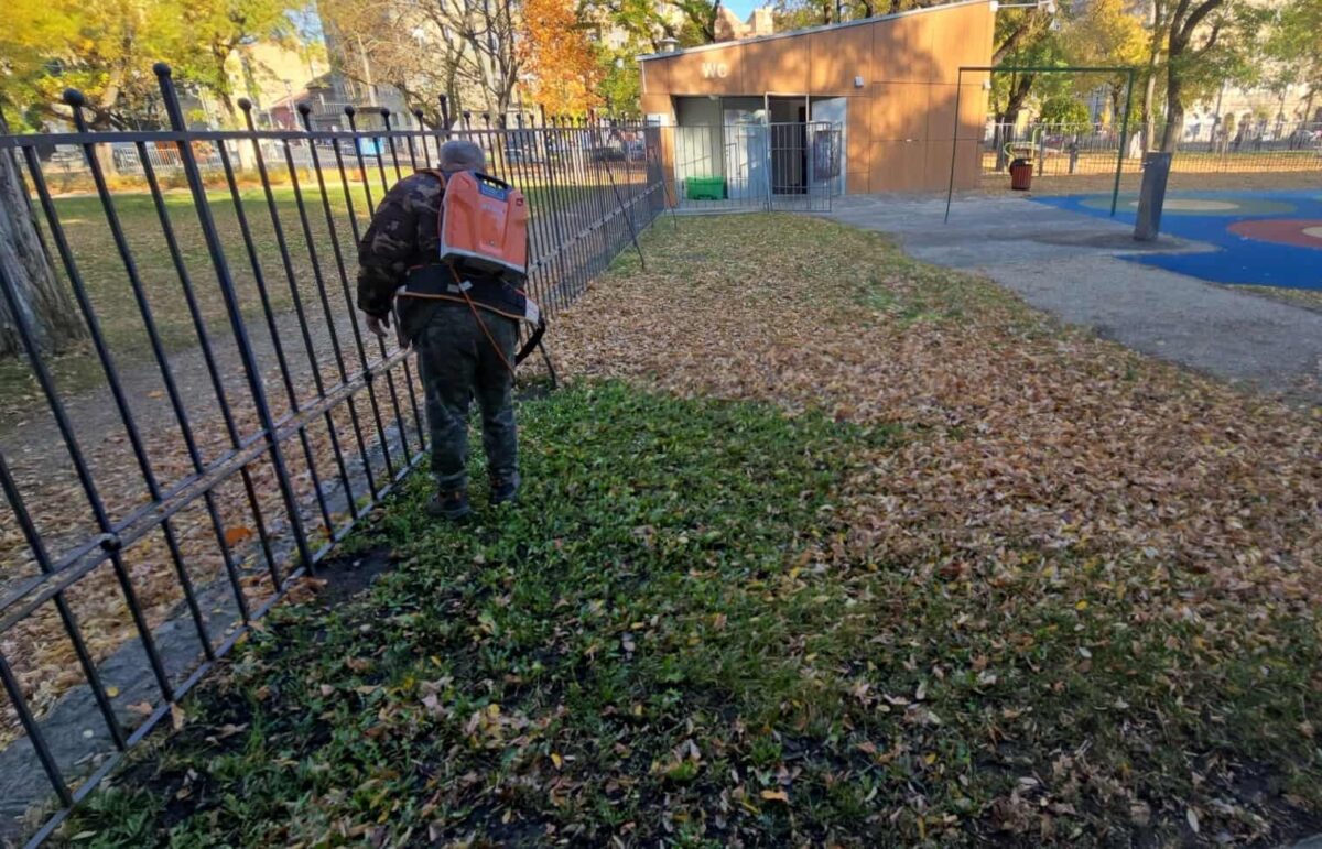 Rendben tartottuk a józsefvárosi zöldfelületeket
