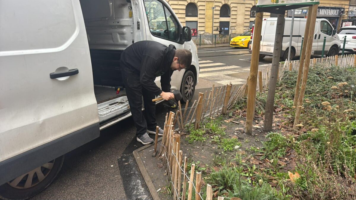 Ápolt és rendezett zöldterületekért dolgoztunk