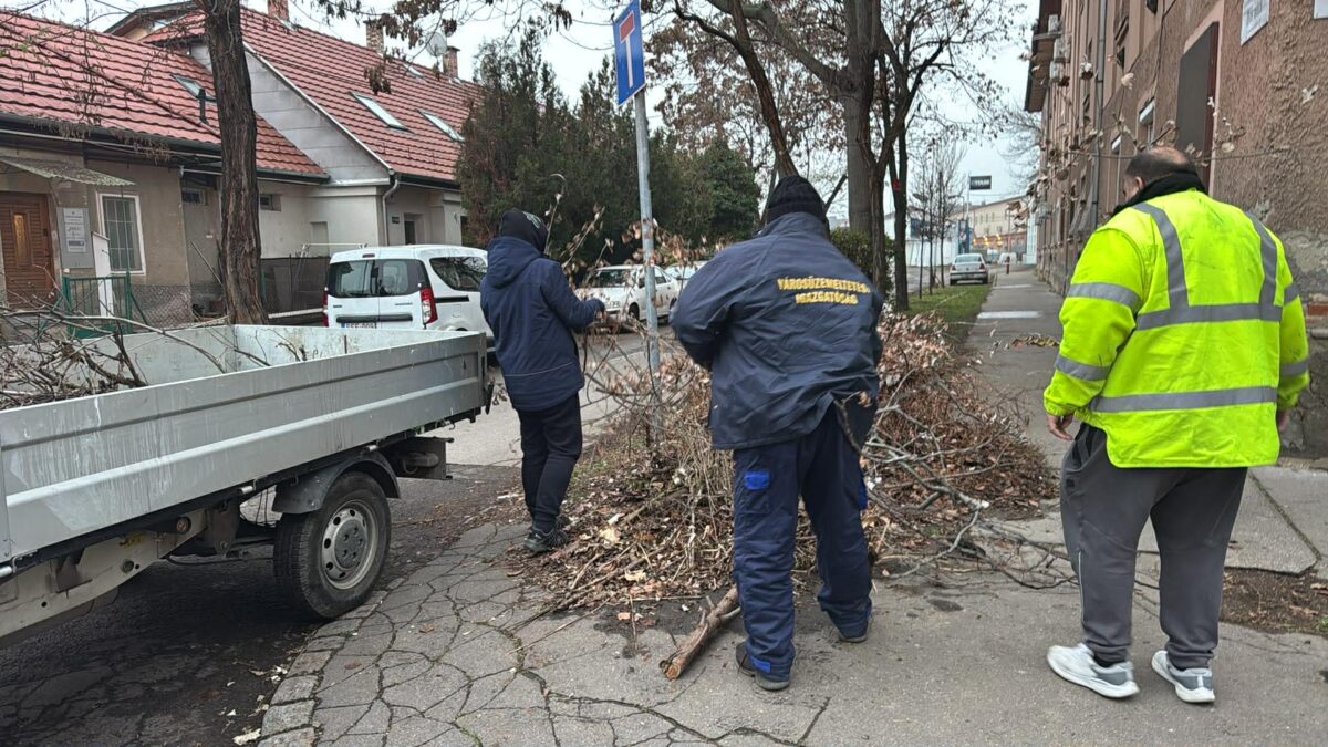 Rendszeres gondozás biztosítja Józsefváros parkjainak és zöldterületeinek rendezettségét