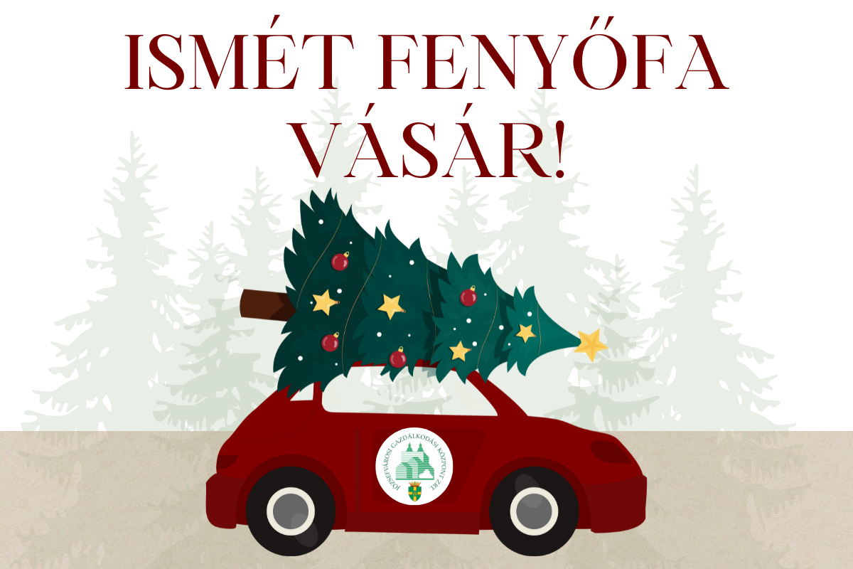 Ünnepi hangulat, friss fenyőillat! – Ismét fenyőfa vásár a Teleki téri piacon!