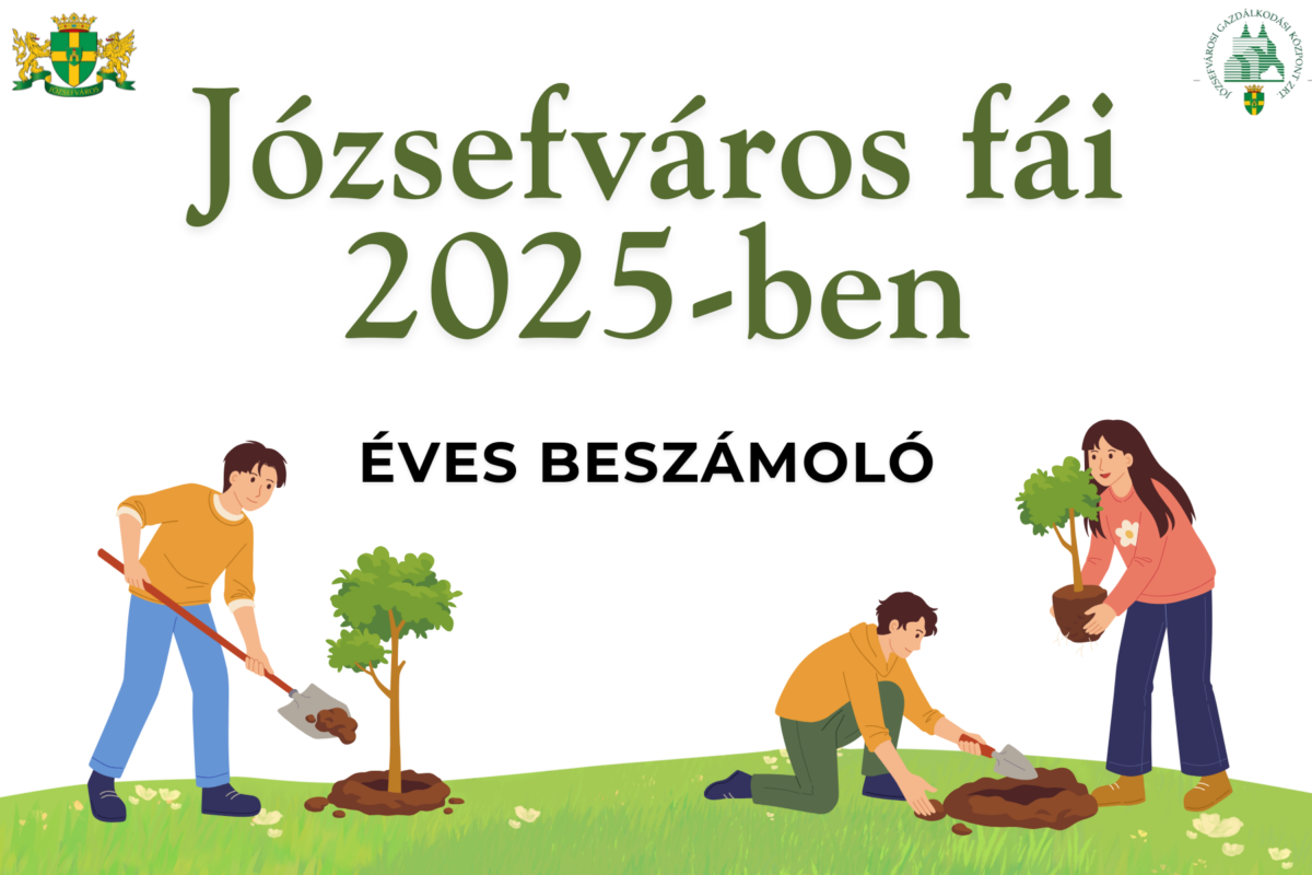 Józsefváros fái 2025-ben: éves beszámoló