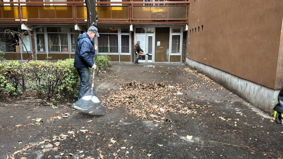 Folytattuk a józsefvárosi parkok és zöldfelületek ápolását