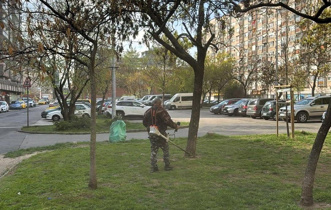 Zöldebb és rendezettebb utcákért, parkokért folytatódott a munka Józsefvárosban