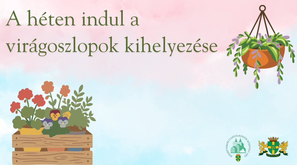 A héten indul a virágoszlopok kihelyezése
