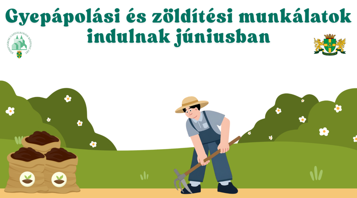 Gyepápolási és zöldítési munkálatok indulnak júniusban