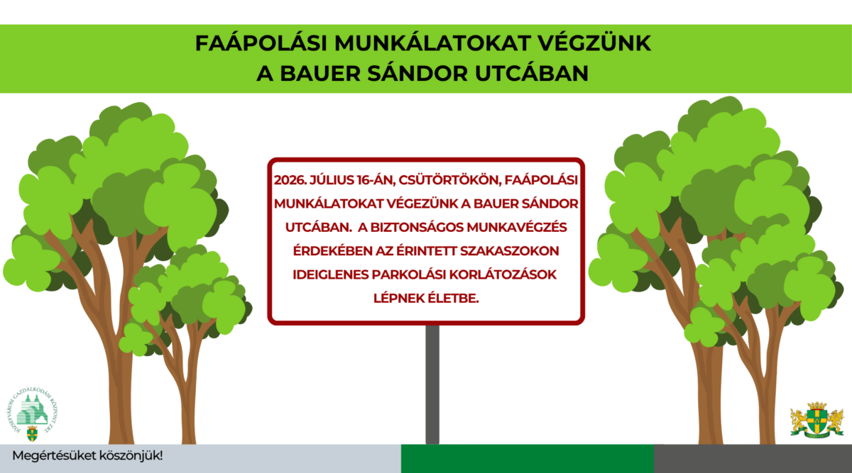 Időszakos parkolási tilalom és lezárás lesz a Bauer Sándor utcában