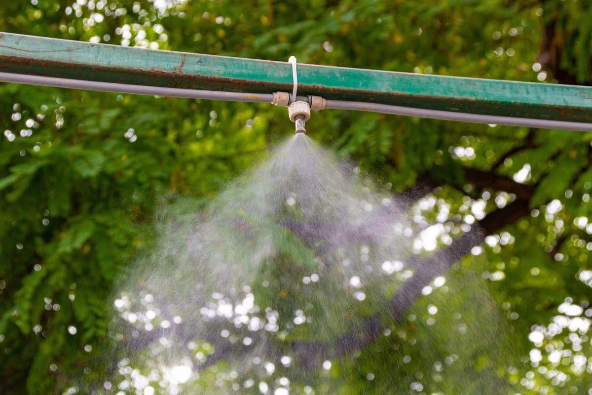 Jövő héttől leállnak a párakapuk Józsefvárosban